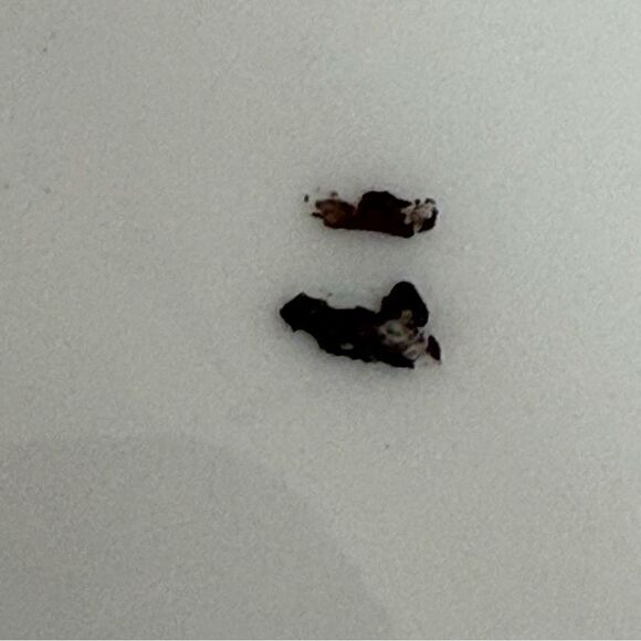 Vintage Floral Decorative Plate - Picture 4 of 5